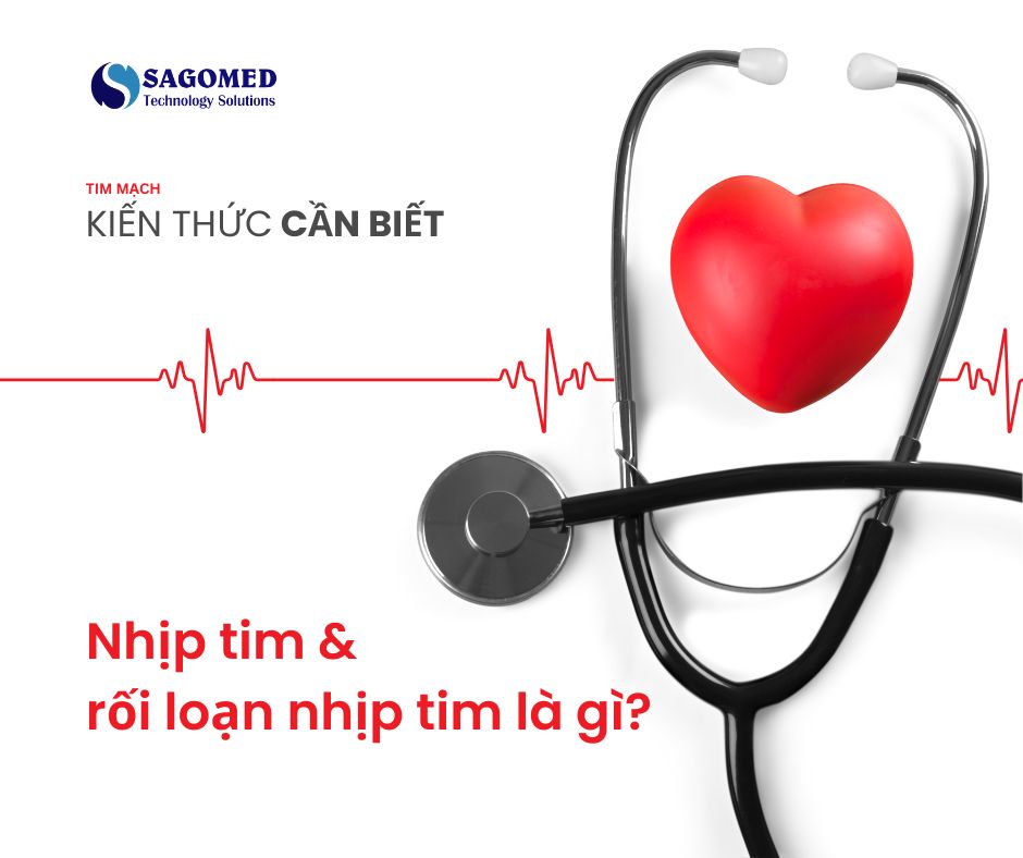 Nhịp tim bình thường và rối loạn nhịp Tim - Kiến thức  cần biết